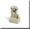 Saznajte nešto više Dentalna patologija i endodoncija